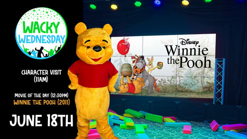 Winnie the pooh at the Fun Place